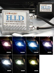 STRAWBERRY Xgx[ HID Lbg HIDLbg Η dn