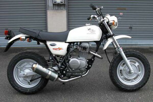 BURIAL xA AeBbg}t[ APE100 [GCv] HONDA z_ tGL][Xg}t[ }t[