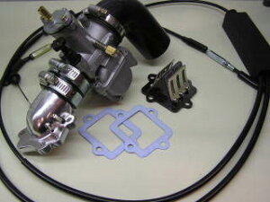 KN PCGkLJN rbOLuZbg01 ANVX90 BWS100 YAMAHA }n Lu^[ zC֘A GW