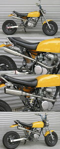 WirusWin ECYEB eCXgAbv}t[ GCv50 HONDA z_ tGL][Xg}t[ }t[