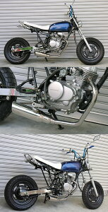 WirusWin ECYEB eCXg}t[ GCv50 HONDA z_ tGL][Xg}t[ }t[