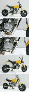 WirusWin ECYEB bhV[g}t[ GCv50 HONDA z_ tGL][Xg}t[ }t[