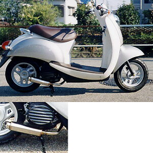 WirusWin ECYEB bhTCT[}t[ NAXN[s[ HONDA z_ tGL][Xg}t[ }t[