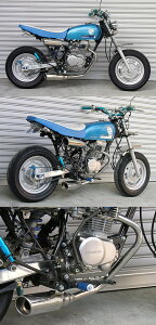 WirusWin ECYEB eCXg}t[ GCv100 HONDA z_ tGL][Xg}t[ }t[