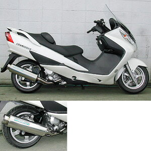 WirusWin ECYEB rbOoY[J[}t[@dቹo[W@L^CU[t (rKX򉻐G}) XJCEFCu400 SUZUKI XYL tGL][Xg}t[ }t[