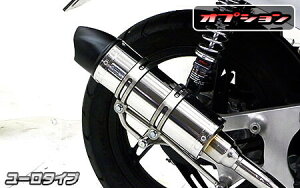 WirusWin ウイルズウィン ロイヤルマフラー ユーロタイプ ディオ110 HONDA ホンダ フルエキゾーストマフラー マフラー