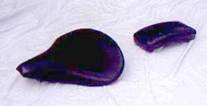 American Dreams AJh[X ThV[g MTCY ^ U[ VhE400 VhE750 HONDA z_ V[g V[g֘A O