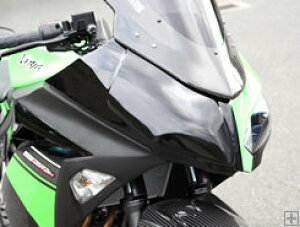 Magical Racing }WJ[VO [bPv[g Ninja250 KAWASAKI JTL [bPJE JE֘A O