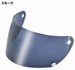 LEAD�H�� ���[�h�H�� RX-100R�p�V�[���h RX-100R RX-300R 2 �w�����b�g�V�[���h �w�����b�g