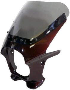 World Walk [hEH[N ėprLjJE DS-01 yAERO^Cvz HONDA z_ YAMAHA }n SUZUKI XYL KAWASAKI JTL rLjJE JE֘A O XN[J[FNA / J[F