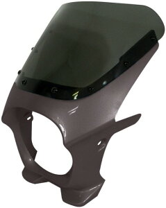 World Walk [hEH[N ėprLjJE DS-01 yAERO^Cvz HONDA z_ YAMAHA }n SUZUKI XYL KAWASAKI JTL rLjJE JE֘A O XN[J[FNA / J[FM