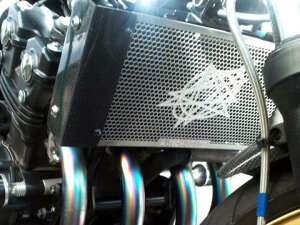 A-TECH G[ebN WG^[RAK[h z[lbg250 HONDA z_ WG[^[RAK[hEICN[[RAK[h p֘A GW