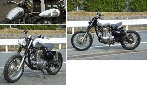 BIG CEDAR rbOV[_[ Os[ibcA~^N ESTRELLA [GXgA] 250TR KAWASAKI JTL K\^N ^N֘A O