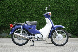 RPM A[s[G 80D-RAPTORtGL][Xg}t[ X[p[Ju110 HONDA z_ tGL][Xg}t[ }t[