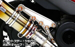 WirusWin ECYEB Ajo[T[}t[prbgXe[ Vo[o[W AhXV125 SUZUKI XYL }t[Xe[ }t[