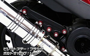 WirusWin ECYEB Ajo[T[}t[prbgXe[ ubNo[W AhXV125 SUZUKI XYL }t[Xe[ }t[