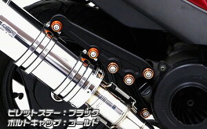 WirusWin ECYEB Ajo[T[}t[prbgXe[ ubNo[W AhXV125 SUZUKI XYL }t[Xe[ }t[