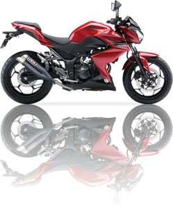 IXIL CNV XbvI L3XB-fAEh^Cv }t[ Z 250-300 R KAWASAKI JTL XbvI}t[