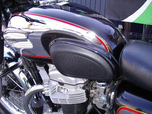 PLEASURE プレジャー ニーグリップアシストプレート W650 KAWASAKI カワサキ ニーグリップパッド タンク関連 外装