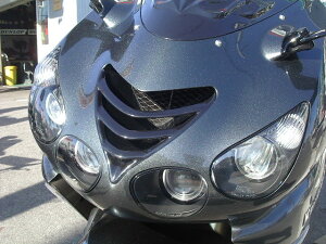 PLEASURE vW[ _Ng[o[ ZZR1400 KAWASAKI JTL GAXN[vEGA_Ng O J[F^bNI[Vu[yCg