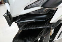 楽天市場】cbr250rrカーボンパーツの通販