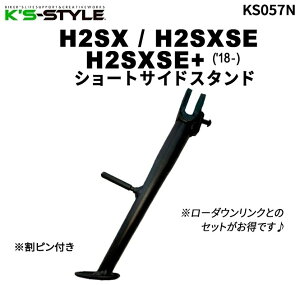 Kfs-STYLE PCYX^C V[gTChX^h H2SXSE+ H2SXSE H2SX KAWASAKI JTL TChX^h t[