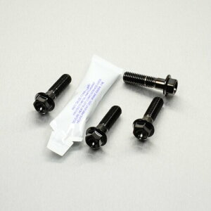 PRO BOLT v{g sI tbgXg nK[ {g Lbg R1200GS TE ZX-7R Ninja DL1000 V-Strom GSX1300R Hayabusa Speed Triple SCR950 BMW KAWASAKI JTL SUZUKI XYL TRIUMPH gCAt YAMAHA }n 