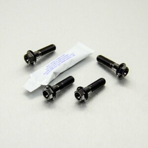 PRO BOLT �v���{���g ���C�_�[ �t�b�g���X�g �n���K�[ �{���g �L�b�g RSV1000 Tuono R SL1000 Falco VZ800 Intruder M800Z Thruxton 1200 FZ6 Fazer S2 APRILIA �A�v�����A SUZUKI �X�Y�L TRIUMPH �g���C�A���t YAMAHA ���}�n ��
