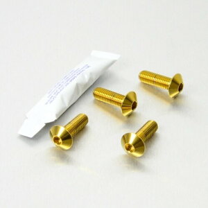 PRO BOLT v{g C_[ tbgXg nK[ {g Lbg CBF1000 CBF600S XL700 VA Transalp ZX-6R 636 DL650A V-Strom GSX-R750 MT-125 V-Max 1700 YZF-R7 HONDA z_ KAWASAKI JTL SUZUKI XYL YAMAHA }n 