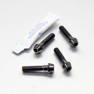 PRO BOLT v{g C_[ tbgXg nK[ {g Lbg Speed Triple 1050 S R FZ8 XSR700 TRIUMPH gCAt YAMAHA }n ėp{gElW