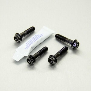 PRO BOLT v{g C_[ tbgXg nK[ {g Lbg [XXybN Speed Triple 1050 S R FZ8 XSR700 TRIUMPH gCAt YAMAHA }n ėp{gElW