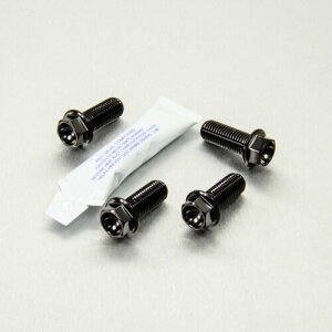 PRO BOLT �v���{���g ���C�_�[ �t�b�g���X�g �n���K�[ �{���g �L�b�g WR125R XVS1300A Midnight Star YAMAHA ���}�n �ėp�{���g�E�l�W