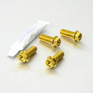 PRO BOLT �v���{���g ���C�_�[ �t�b�g���X�g �n���K�[ �{���g �L�b�g WR125R XVS1300A Midnight Star YAMAHA ���}�n �ėp�{���g�E�l�W