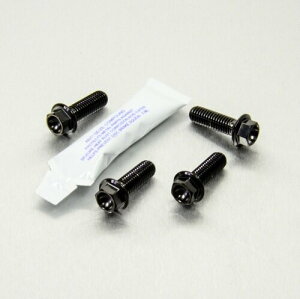 PRO BOLT �v���{���g ���C�_�[ �t�b�g���X�g �n���K�[ �{���g �L�b�g RS4 125 R Nine T Sport S1000RR S1000R S1000XR KLV1000 DL1000 V-Strom FZ1 Fazer MT-10 YZF-R1 YZF-R3 YZF-R6 YZF-R7 APRILIA �A�v�����A BMW KAWASAKI �J���T�L SUZ