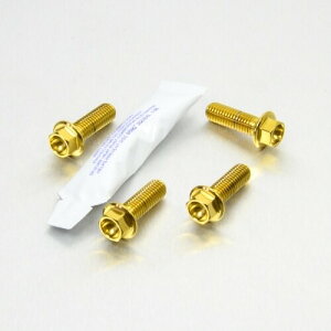PRO BOLT �v���{���g ���C�_�[ �t�b�g���X�g �n���K�[ �{���g �L�b�g RS4 125 R Nine T Sport S1000RR S1000R S1000XR KLV1000 DL1000 V-Strom FZ1 Fazer MT-10 YZF-R1 YZF-R3 YZF-R6 YZF-R7 APRILIA �A�v�����A BMW KAWASAKI �J���T�L SUZ
