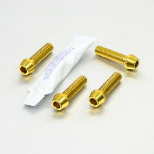 PRO BOLT �v���{���g ���C�_�[ �t�b�g���X�g �n���K�[ �{���g �L�b�g RS250 RSV4 RF CB1300 CB600 Hornet Thruxton 1200 FZ6 Fazer APRILIA �A�v�����A HONDA �z���_ TRIUMPH �g���C�A���t YAMAHA ���}�n �ėp�{���g�E�l�W