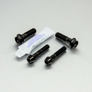 PRO BOLT �v���{���g �g�b�v �� �{�g�� ���[�N �s���` �Z�b�g Multistrada 1100 CBF1000 CBR400RR CBR600F1-F5 CBR900RRN-RRS Fireblade CBR900RRT-RRV DUCATI �h�D�J�e�B HONDA �z���_ �ėp�{���g�E�l�W