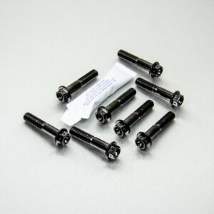 PRO BOLT �v���{���g �g�b�v �� �{�g�� ���[�N �s���` �Z�b�g ���[�X�X�y�b�N CRF250R CRF450R 690 SMC-R DRZ400 SM RM250 RMZ450 WR125R WR250X XT660X YZ250F HONDA �z���_ KTM SUZUKI �X�Y�L YAMAHA ���}�n �ėp�{���g�E�l�W