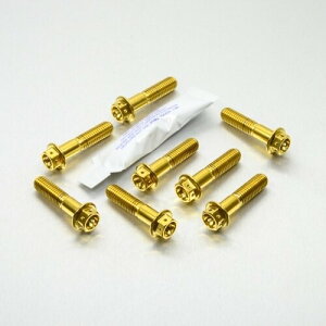 PRO BOLT �v���{���g �g�b�v �� �{�g�� ���[�N �s���` �Z�b�g ���[�X�X�y�b�N CRF250R CRF450R 690 SMC-R DRZ400 SM RM250 RMZ450 WR125R WR250X XT660X YZ250F HONDA �z���_ KTM SUZUKI �X�Y�L YAMAHA ���}�n �ėp�{���g�E�l�W