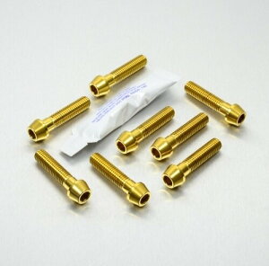 PRO BOLT �v���{���g �g�b�v �� �{�g�� ���[�N �s���` �Z�b�g Tiger 800 TRIUMPH �g���C�A���t �ėp�{���g�E�l�W
