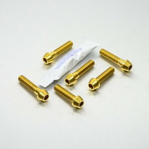 PRO BOLT �v���{���g �g�b�v �� �{�g�� ���[�N �s���` �Z�b�g Dorsoduro 1200 750 RS4 125 50 RSV1000R Factory RSV4 1000 RF Tuono V4R S1000XR Daytona 675R Street Triple 675 APRILIA �A�v�����A BMW TRIUMPH �g���C�A���t �ėp�{��