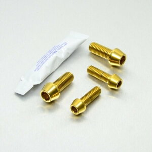 PRO BOLT v{g gbv  {g [N s` Zbg Ninja 250 SL W800 Z250 MT-03 KAWASAKI JTL YAMAHA }n ėp{gElW