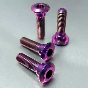 PRO BOLT v{g sI tbgXg nK[ {g Lbg Ninja 1000 SX ZX-6R Z H2 Z1000 Z750 Z900 ZX-10R 636 ZZR1400 KAWASAKI JTL ėp{gElW