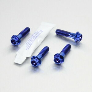 PRO BOLT v{g sI tbgXg nK[ {g Lbg [XXybN R1200GS TE ZX-7R Ninja DL1000 V-Strom GSX1300R Hayabusa Speed Triple SCR950 BMW KAWASAKI JTL SUZUKI XYL TRIUMPH gCA