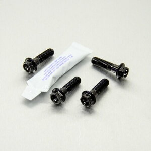 PRO BOLT �v���{���g ���C�_�[ �t�b�g���X�g �n���K�[ �{���g �L�b�g ���[�X�X�y�b�N RSV1000 Tuono R SL1000 Falco VZ800 Intruder M800Z Thruxton 1200 FZ6 Fazer S2 APRILIA �A�v�����A SUZUKI �X�Y�L TRIUMPH �g���C�A���t