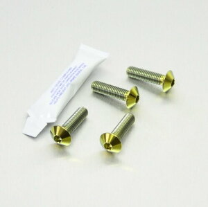 PRO BOLT v{g C_[ tbgXg nK[ {g Lbg CBF1000 CBF600S XL700 VA Transalp ZX-6R 636 DL650A V-Strom GSX-R750 MT-125 V-Max 1700 YZF-R7 HONDA z_ KAWASAKI JTL SUZUKI XYL YAMAHA }n 