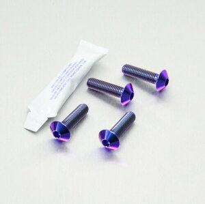 PRO BOLT v{g C_[ tbgXg nK[ {g Lbg CBF1000 CBF600S XL700 VA Transalp ZX-6R 636 DL650A V-Strom GSX-R750 MT-125 V-Max 1700 YZF-R7 HONDA z_ KAWASAKI JTL SUZUKI XYL YAMAHA }n 