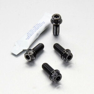 PRO BOLT �v���{���g ���C�_�[ �t�b�g���X�g �n���K�[ �{���g �L�b�g �f���A���h���C�u WR125R XVS1300A Midnight Star YAMAHA ���}�n �ėp�{���g�E�l�W