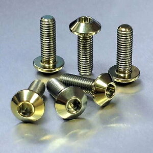 PRO BOLT v{g C_[ tbgXg nK[ {g Lbg Supersport 1000 DS CBR1100XX Blackbird GSF1200 Bandit GSR600 GSX1300R Hayabusa YZF-R6 DUCATI hDJeB HONDA z_ SUZUKI XYL YAMAHA }n ėp