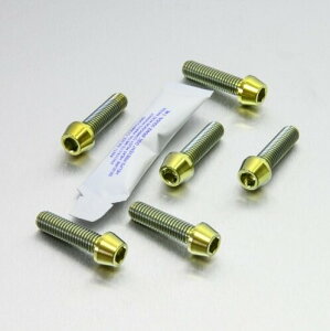 PRO BOLT v{g gbv  {g Nv [N s` Lbg F650GS 125 Duke 390 790 RC Daytona 955i Street Triple 765 RS RX Tiger MT-07 MT-09 MT-10 MT-125 XSR700 XSR900 YZF-R1 YZF-R6 YZF-R7 BMW KTM TRIUMPH gCAt